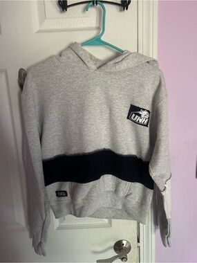 Gray UNH cropped Pullover Hoodie with Navy Blue Stripe